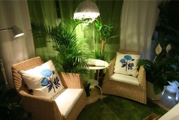 Ramus kambarys su kilimėliu, augalu ir švelnia saulės šviesa